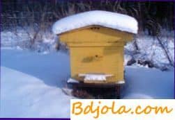 Температурные условия в гнезде пчел