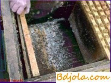 Basic cleaning of hives and disinfection of their hives