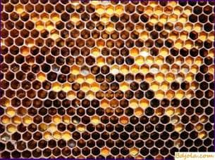 Mounting the honeycomb in the center of the frame