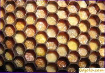 Aging of honeycombs
