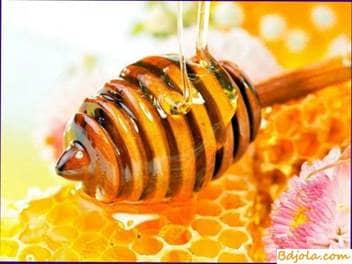Honeydew honey
