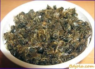 Treatment with bee soup