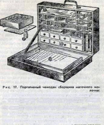 Manufacture of royal jelly