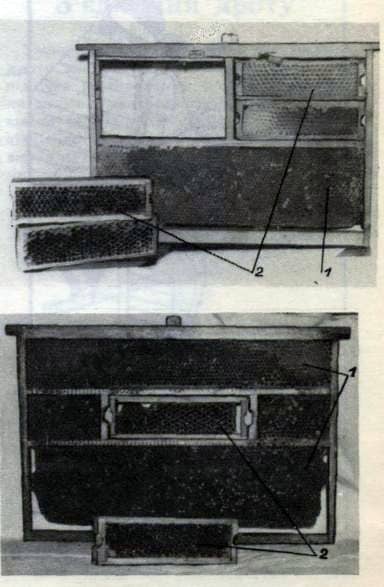 Removal of the brood brood