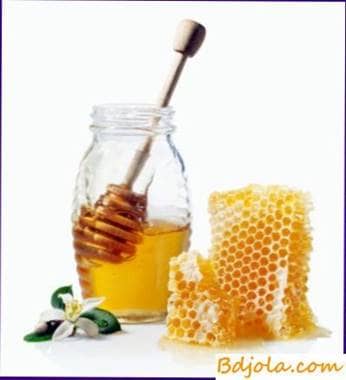 Honey against mold