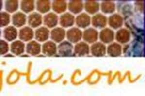 Thickened honeycombs