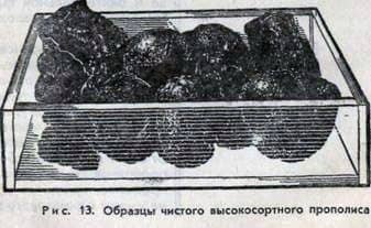 Properties of propolis