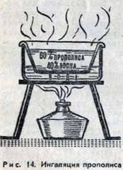 Propolis in the treatment of pulmonary diseases