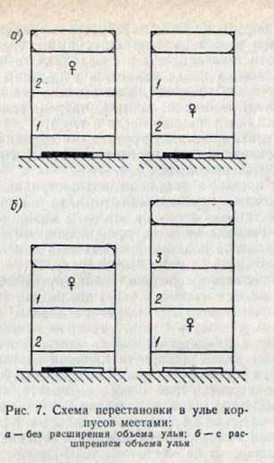 Replacement of buildings in the main families