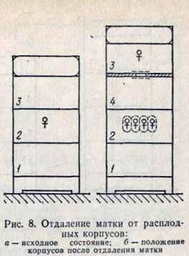 Replacement of buildings in the main families