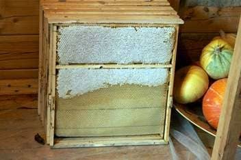 Frame for pavilion hives