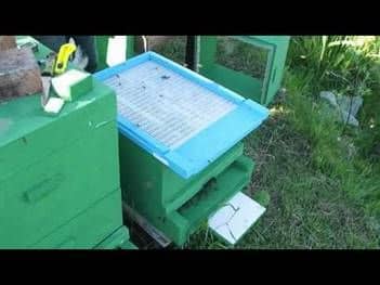 Ventilation of pavilion hives