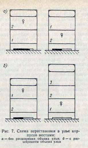 Rearrangement of buildings in places in multi hulls