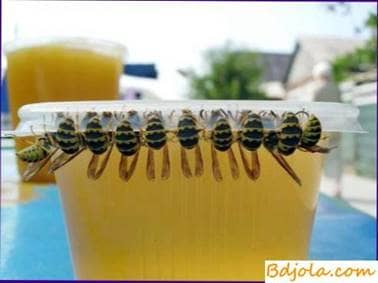How to identify fake honey