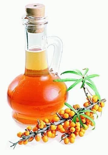 How to prepare sea buckthorn oil at home