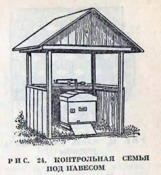 Control hive in the apiary