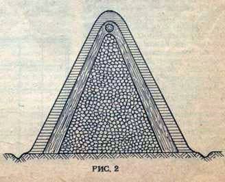 Root storage