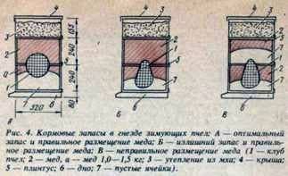 Características de un casco múltiple