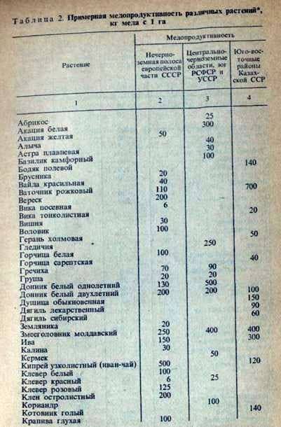 La composición del balance de forraje del apiario