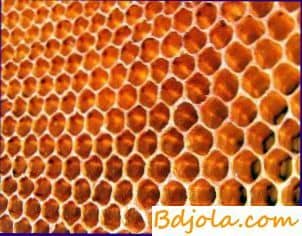 Снижение затрат труда на подкормку пчел