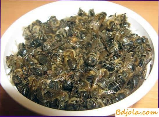 Лечение пчелиным подмором